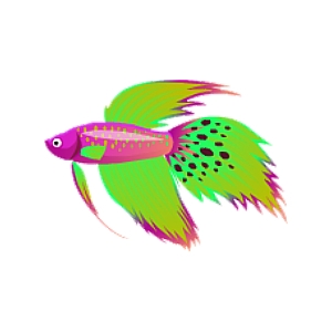 Fuchsia Cheetah Betta